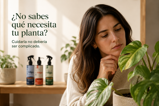 Kit Verdon – Plant Care 4 en 1