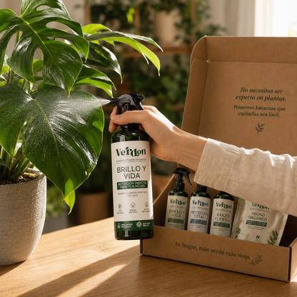 Kit Verdon – Plant Care 4 en 1