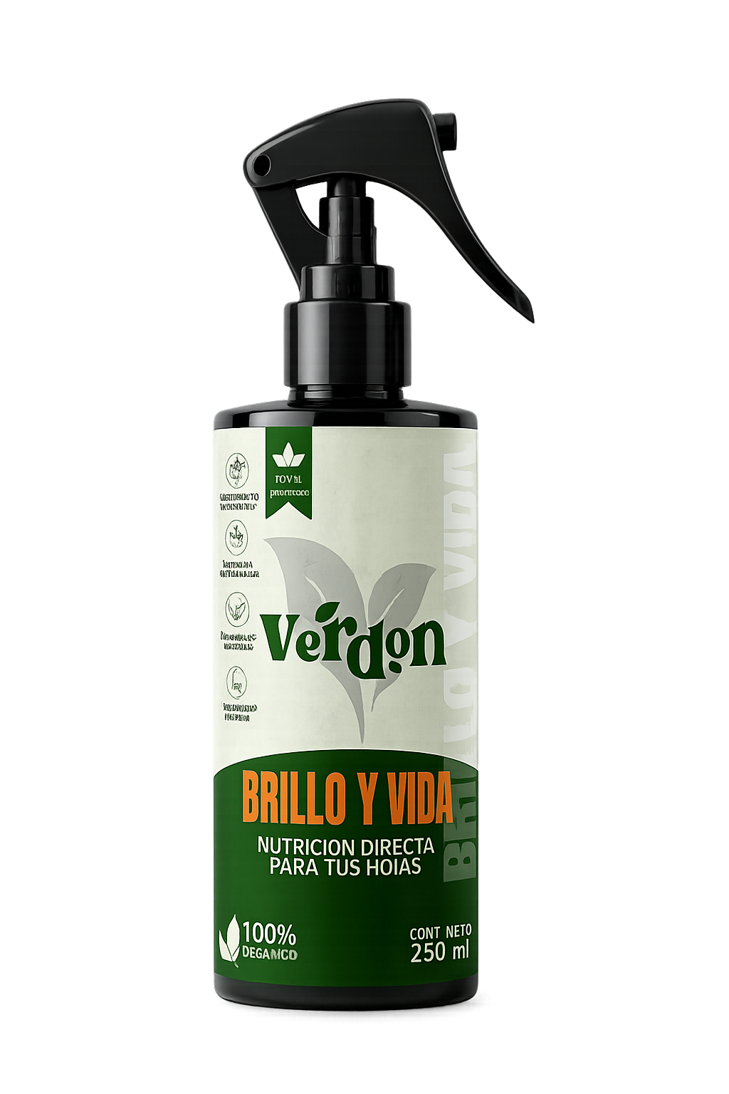 Brillo y Vida